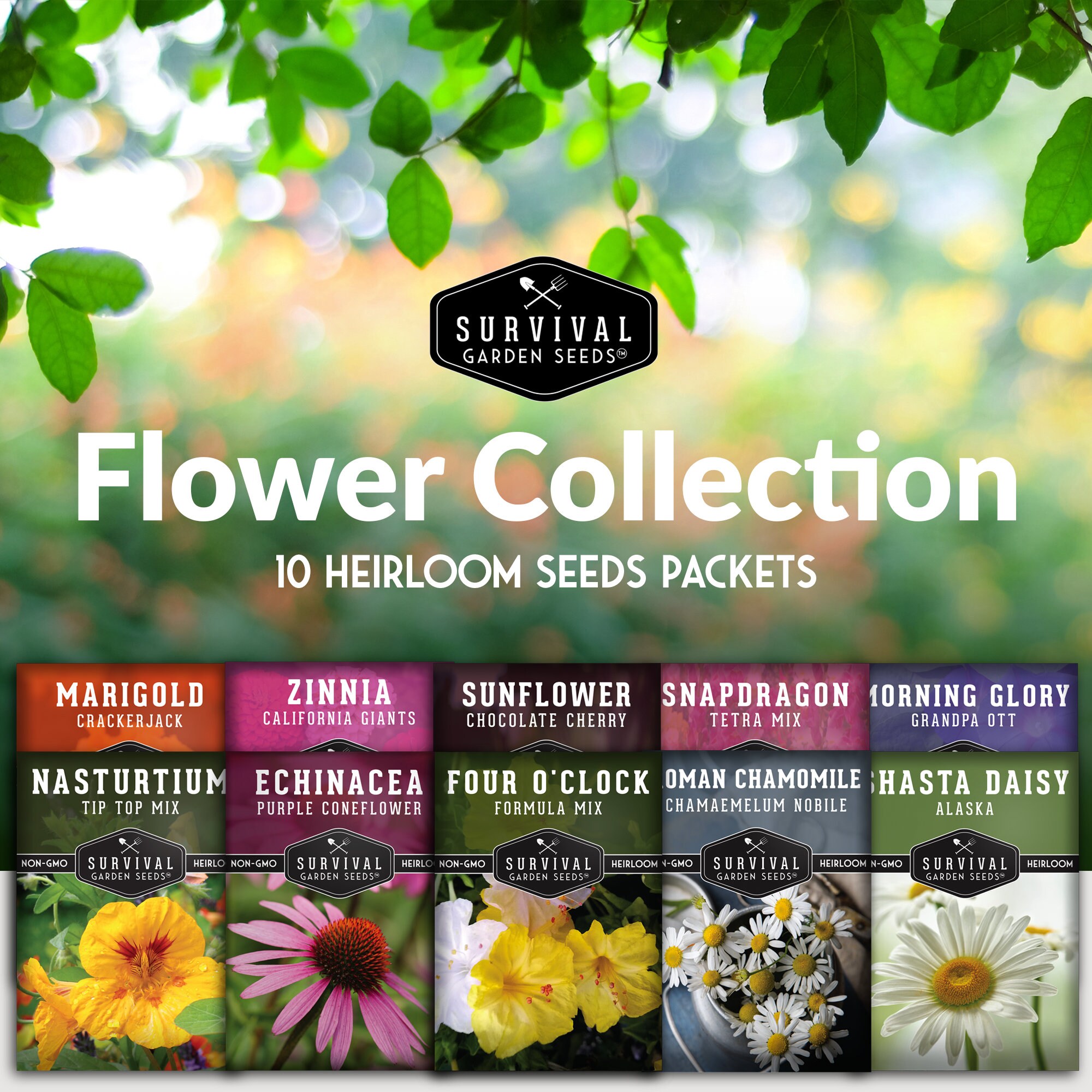 10 Heirloom Flower Seed Packets Chamomile Seeds, Daisy Seeds