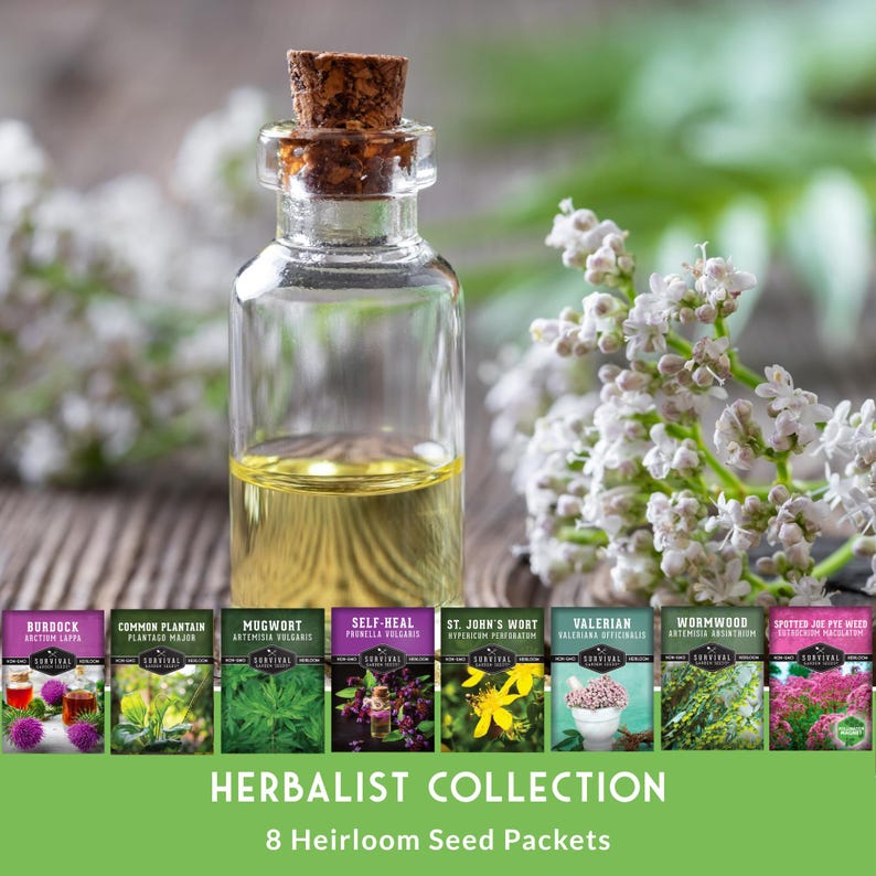Herbalist Seed Collection - 8 packets of heirloom herb seeds