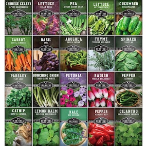 20 Variety Apartment Kit Seed Vault – Non-GMO Heirloom Seeds for Hydroponic & Indoor Small-Space Gardening