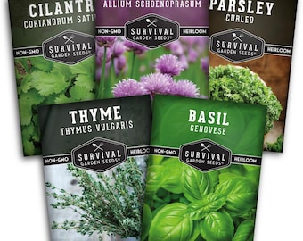 Heirloom Culinary Herb Seeds – 5 Non-GMO Varieties