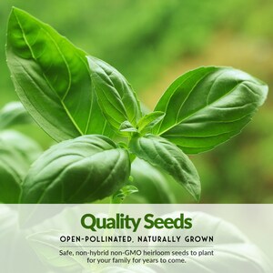 Quality open-pollinated, non-hybrid seeds with excellent germination rates
