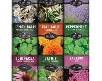 Survival Medicinal Tea Herb Seeds - 9 Non-GMO, Heirloom Medicinal Herb Packs - Chamomile, Lavender, Echinacea, Lemon Balm, Peppermint & more