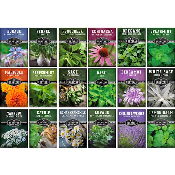 Medicinal Herb Seed Collection: 18 Heirloom Non-GMO Varieties