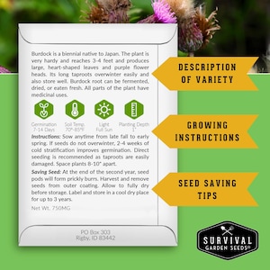 Informational back of packet with growing instructions