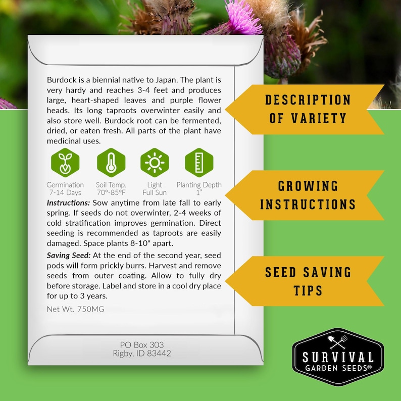 Informational back of packet with growing instructions