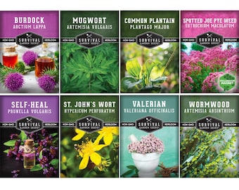 Medicinal Herb Seed Bundle: 8 Apothecary Garden Seeds
