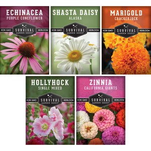 5 paquets de graines de fleurs anciennes - graines de rose trémière, graines de marguerite, graines d&#39;échinacée/échinacée, graines de souci et graines de zinnia