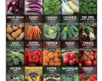 Heirloom Vegetable Seed Starter Kit – 20 Easy-to-Grow Varieties