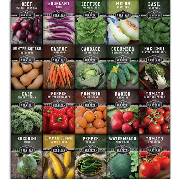 Heirloom Vegetable Seed Starter Kit – 20 Easy-to-Grow Varieties
