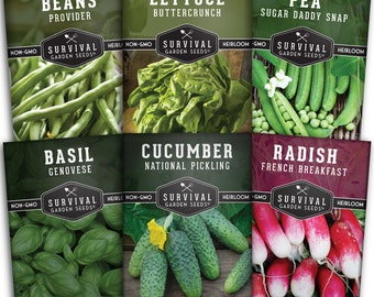 Kids Garden Seed Kit – 6 Non-GMO Heirloom Vegetable Varieties