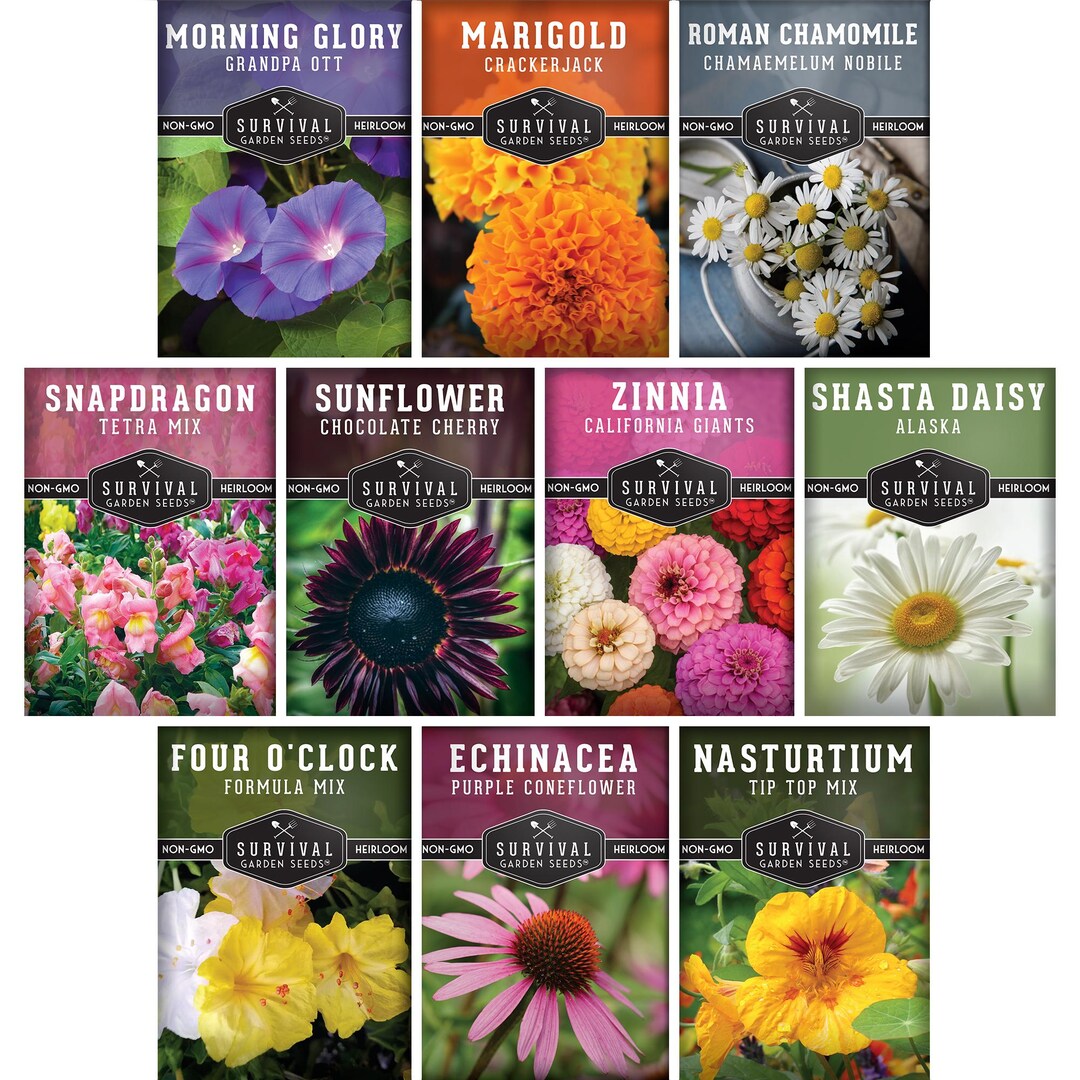 10 Heirloom Flower Seed Packets Chamomile Seeds, Daisy Seeds