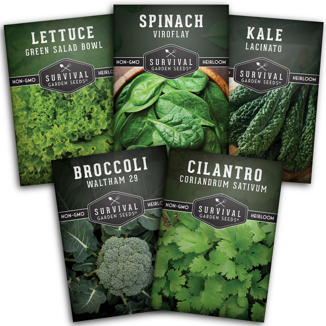 Cool Weather Vegetable Seeds for Extended Harvests