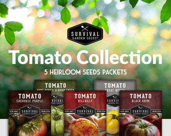 Heirloom Tomato Seed Collection: Colorful Varieties - 5 Packets