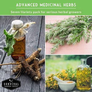 Pictures of medicinal herbs with text that says "Advanced Medicinal Herbs"