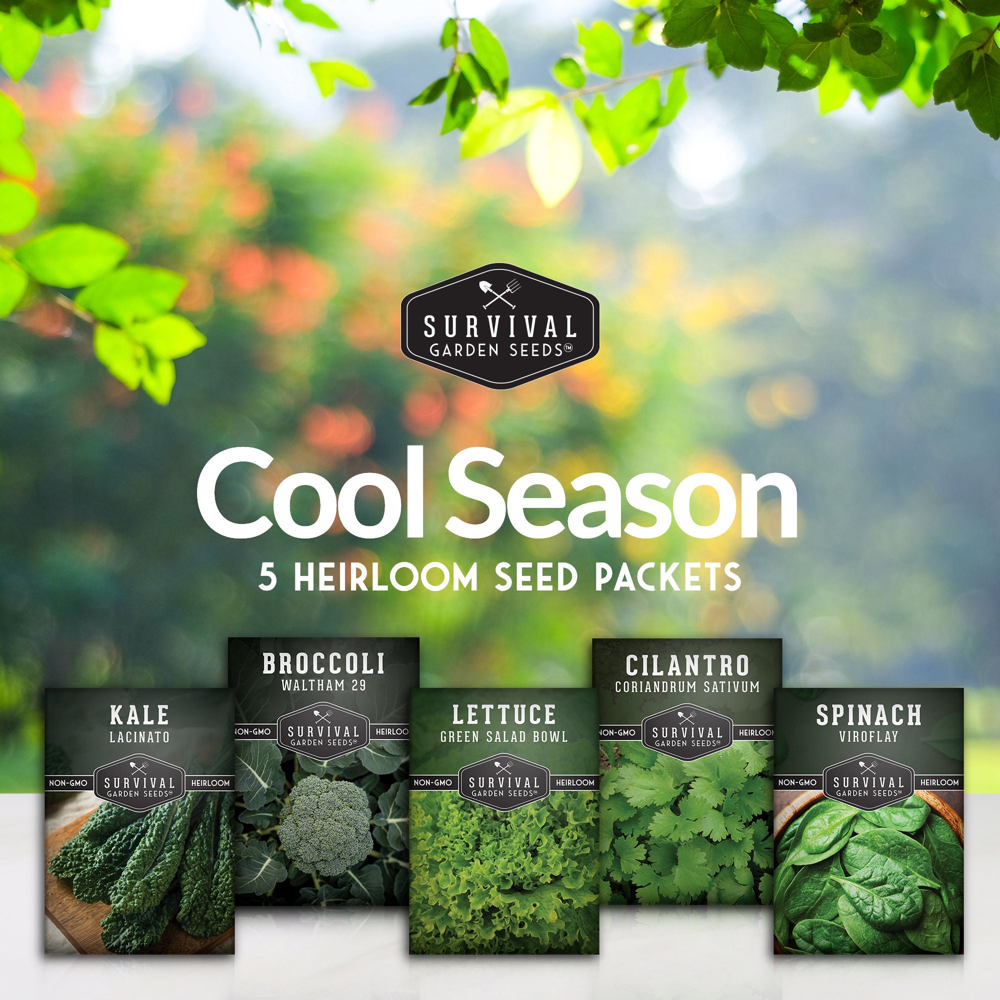 Cool Weather Vegetable Seed Collection 5 Non-gmo, Heirloom Seeds for ... Cool Weather Vegetable Seed Collection 5 Non-gmo, Heirloom Seeds for ...