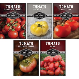 5 Non-GMO, Heirloom Tomato Seed Packets - Cherokee Purple Tomato, Roma Tomato, Great White Tomato, Beefsteak Tomato, Large Cherry Tomato
