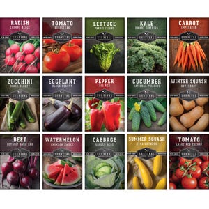 15 Vegetable Garden Seeds Collection