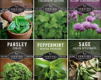 Hydroponic Herb Seed Collection - 6 Heirloom Herbs for Aerogarden and Other Hydroponic Growing Systems