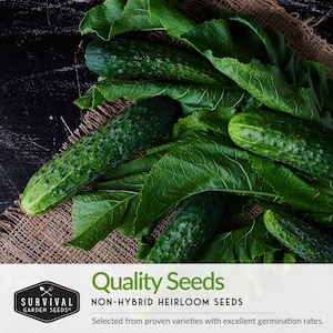 Quality non-hybrid heirloom seeds with excellent germination rates