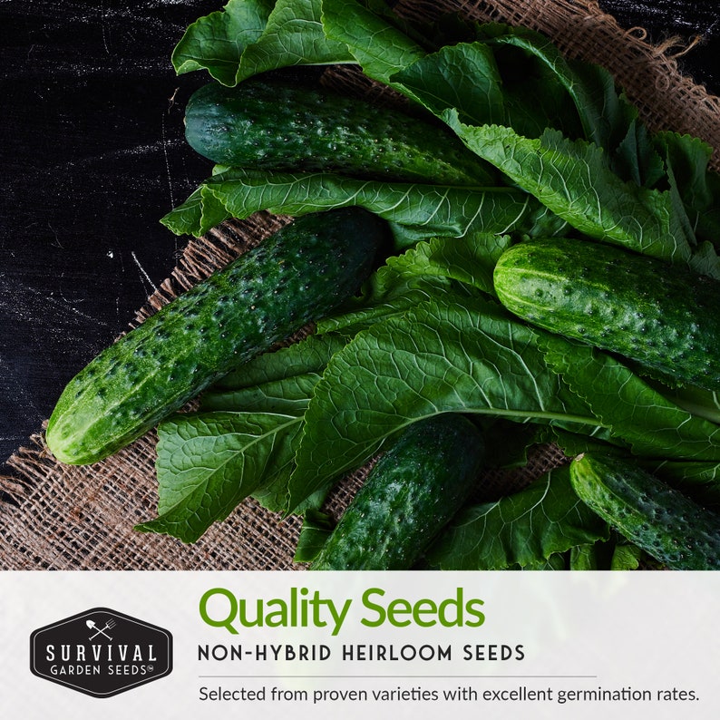 Quality non-hybrid heirloom seeds with excellent germination rates