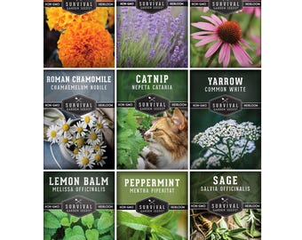 Medicinal Herb Seed Collection: Chamomile, Lavender, Echinacea, Mint - 9 Heirloom Varieties