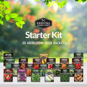 Starter seed kit - 20 heirloom seed packs for starting a garden