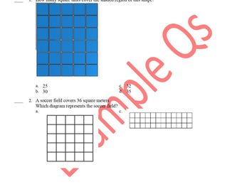 Tercer grado 3.MD.6 (10 preguntas) Medir áreas contando cuadrados unitarios (Hoja de trabajo de matemáticas Common Core sin preparación)