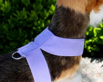 Tinkie Harness- Plain