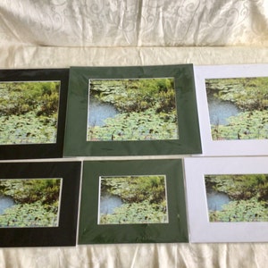 Lily Pad Pond - Photo on Mat Board - 3 Mat Board Color Options - 2 Size Options