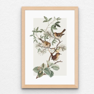 Bird Art Print, Bird Art, Bird Poster, Forestcore Art Print, Bird Artwork Print, Bird Posters Printable, Printable Digital Download