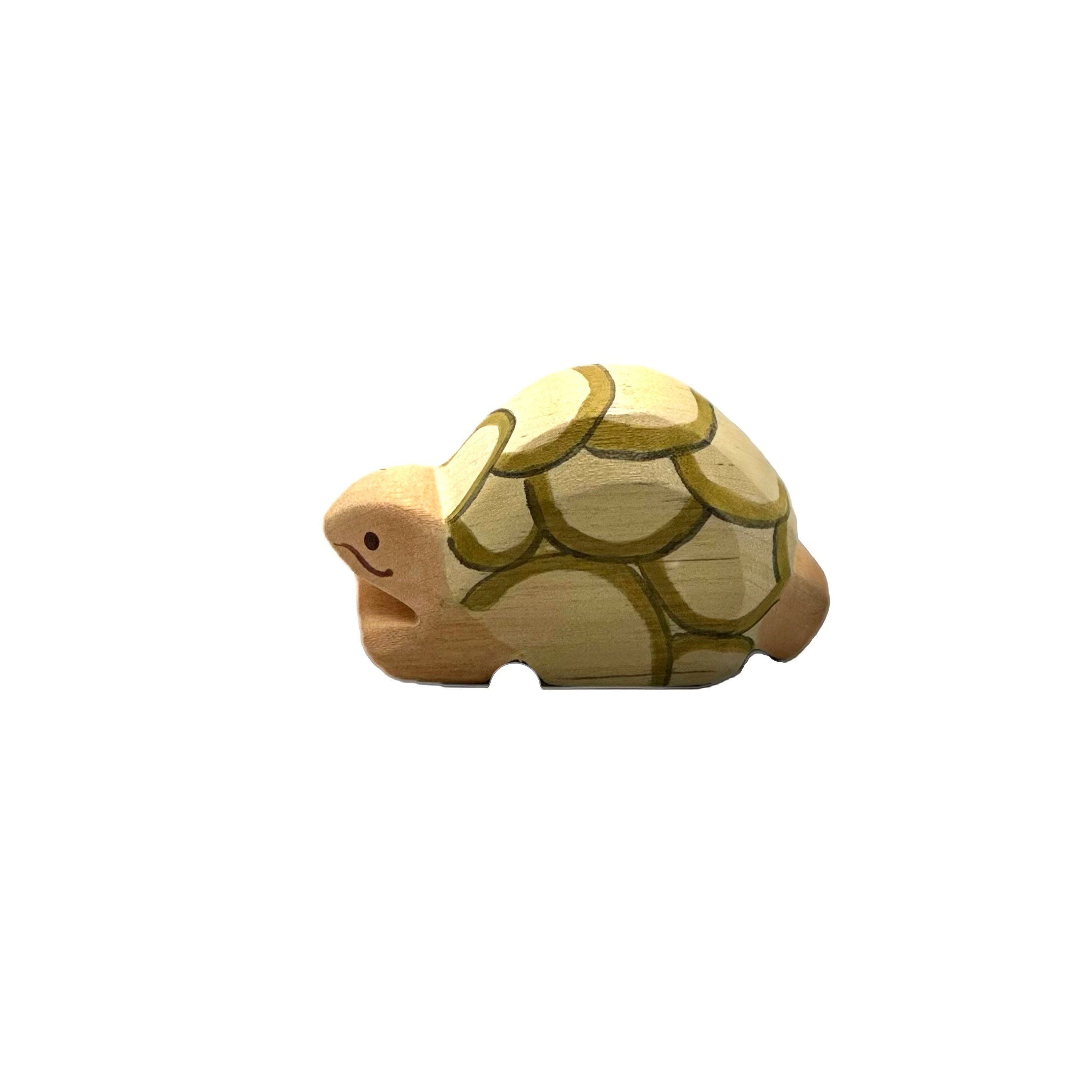Ostheimer turtle sale