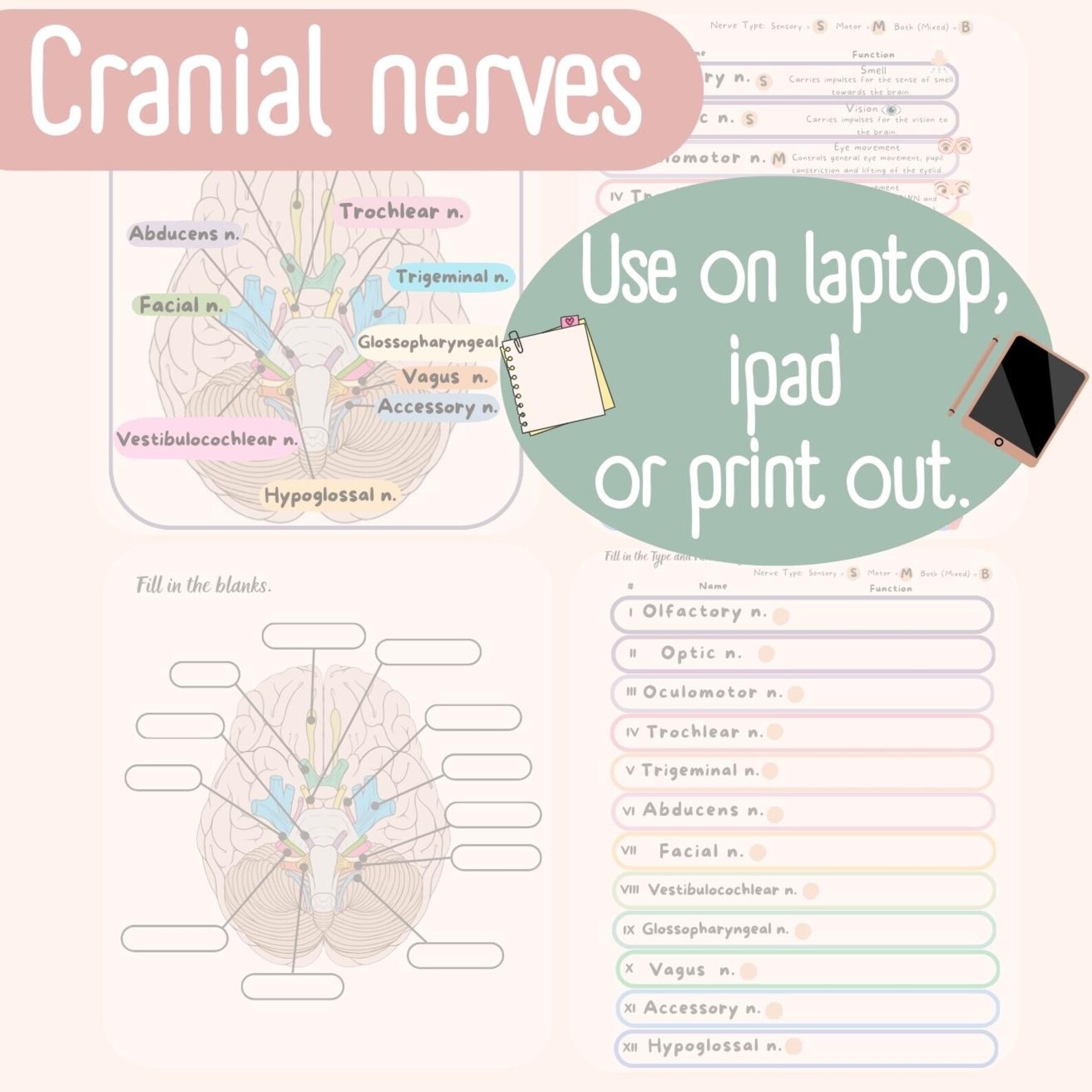 Cranial Nerves Cheat Sheet for Nursing Students - Etsy