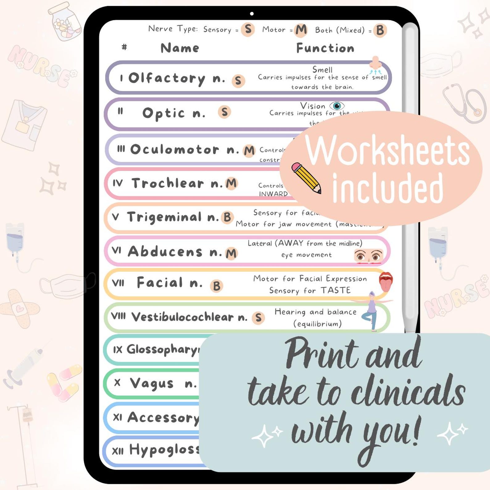Cranial Nerves Cheat Sheet for Nursing Students - Etsy