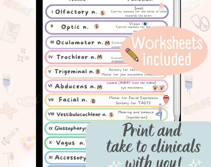 Cranial Nerves & Functions Worksheet Template-student Nurse Review ...