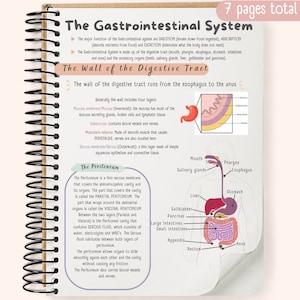 May include: Spiral-bound notebook with a detailed diagram of the human digestive system, including the esophagus, stomach, intestines, and related organs. Text includes anatomical terms and descriptions of digestive processes. The notebook has 7 pages total.