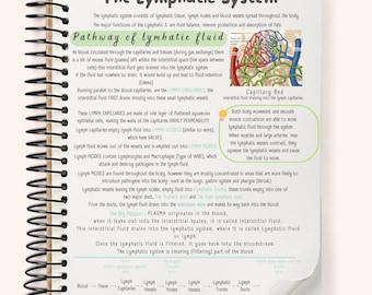 May include: A spiral-bound notebook with handwritten notes on the lymphatic system, including diagrams of capillaries and lymph vessels. The text includes the title "The Lymphatic System" and the phrase "5 pages total."