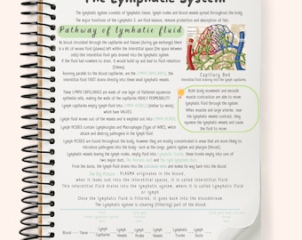 The Lymphatic/Immune System