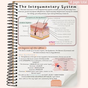 May include: An illustrated diagram of the human integumentary system, showing the layers of the epidermis and dermis. The diagram is labeled with the names of each layer, including the stratum corneum, stratum lucidum, stratum granulosum, stratum spinosum, and stratum basale. The diagram also includes a mnemonic device to help remember the layers of the skin: Come, Lets, Get, Sun, Burned.