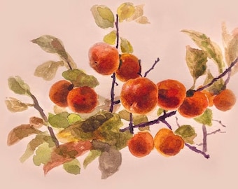 May include: Watercolor painting of a branch with orange persimmons and green leaves on a light pink background.