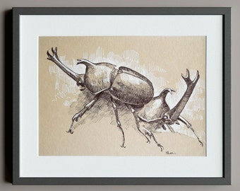 Original - Rhinoceros Beetle Sketch Page, Animal Drawing, A5