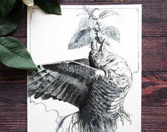 Original - Cuckoo Ink Drawing, A5