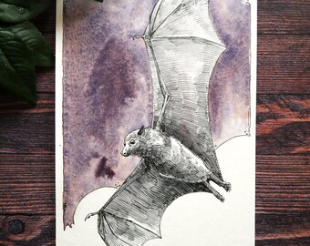 Original - Flying Fox Ink And Watercolor Drawing, A5