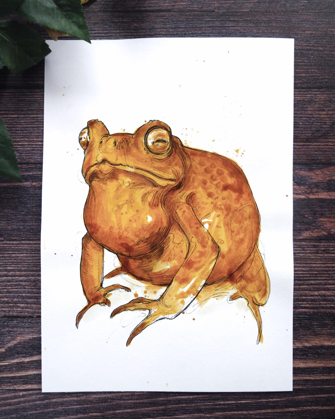 Orginal Toad Original - Toad Ink Drawing, A5 - Etsy
