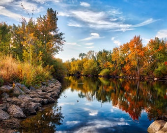 Prachtige Boise River Riverscape Golden Fall Color Oversized fotografische afdruk