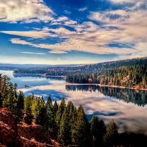 Beautiful Payette Lake Autumn Color Oversized Photograph Print of Golden Trees and Idaho Lake