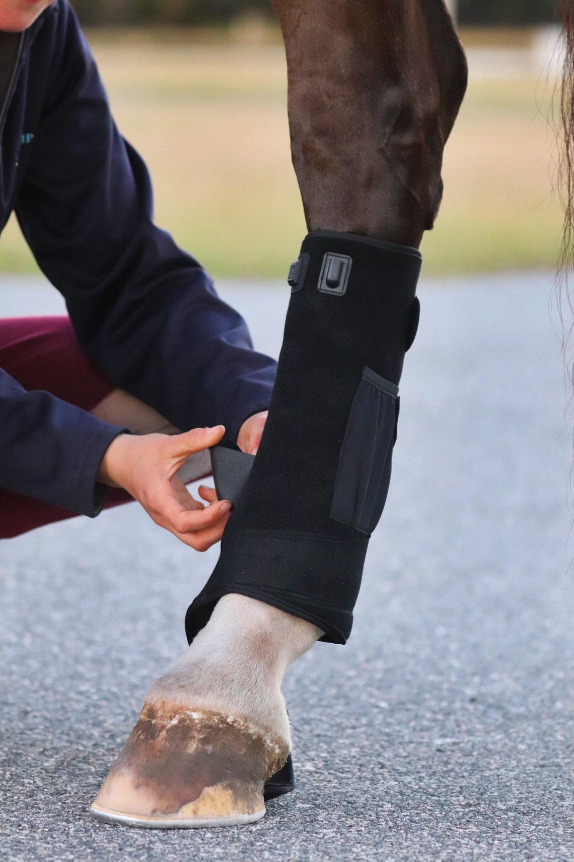 Red Light Therapy Horse Boot 40w 660/850nm Etsy
