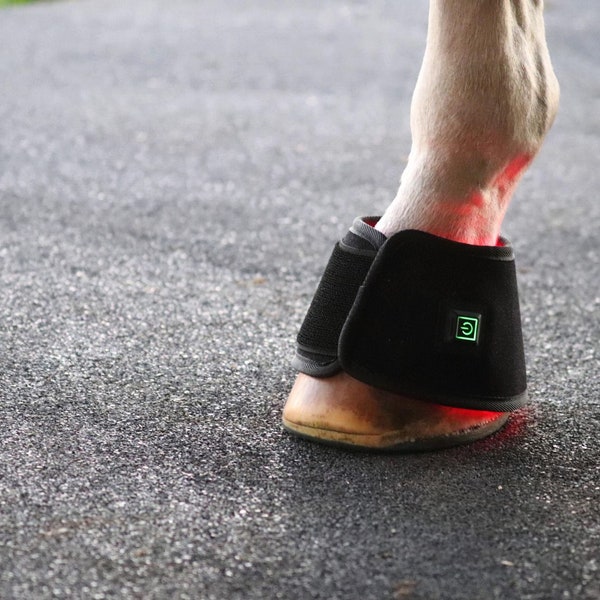 Red Light Therapy Horse Bell Boot - 40w, 660/850nm