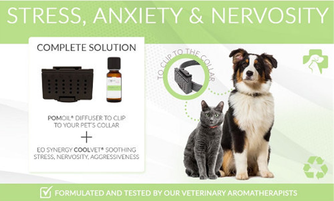 Natural Antistress for Dogs and Cats POMOIL® and Its Etsy