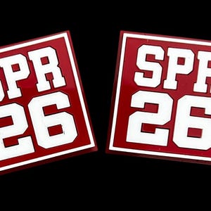 Delta Sigma Theta Crossing Year Lapel Pin