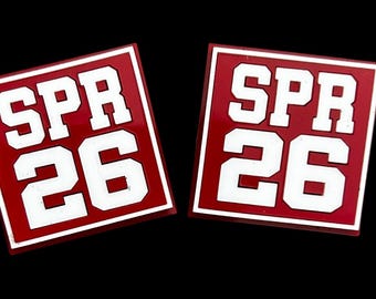 Delta Sigma Theta Crossing Year Lapel Pin